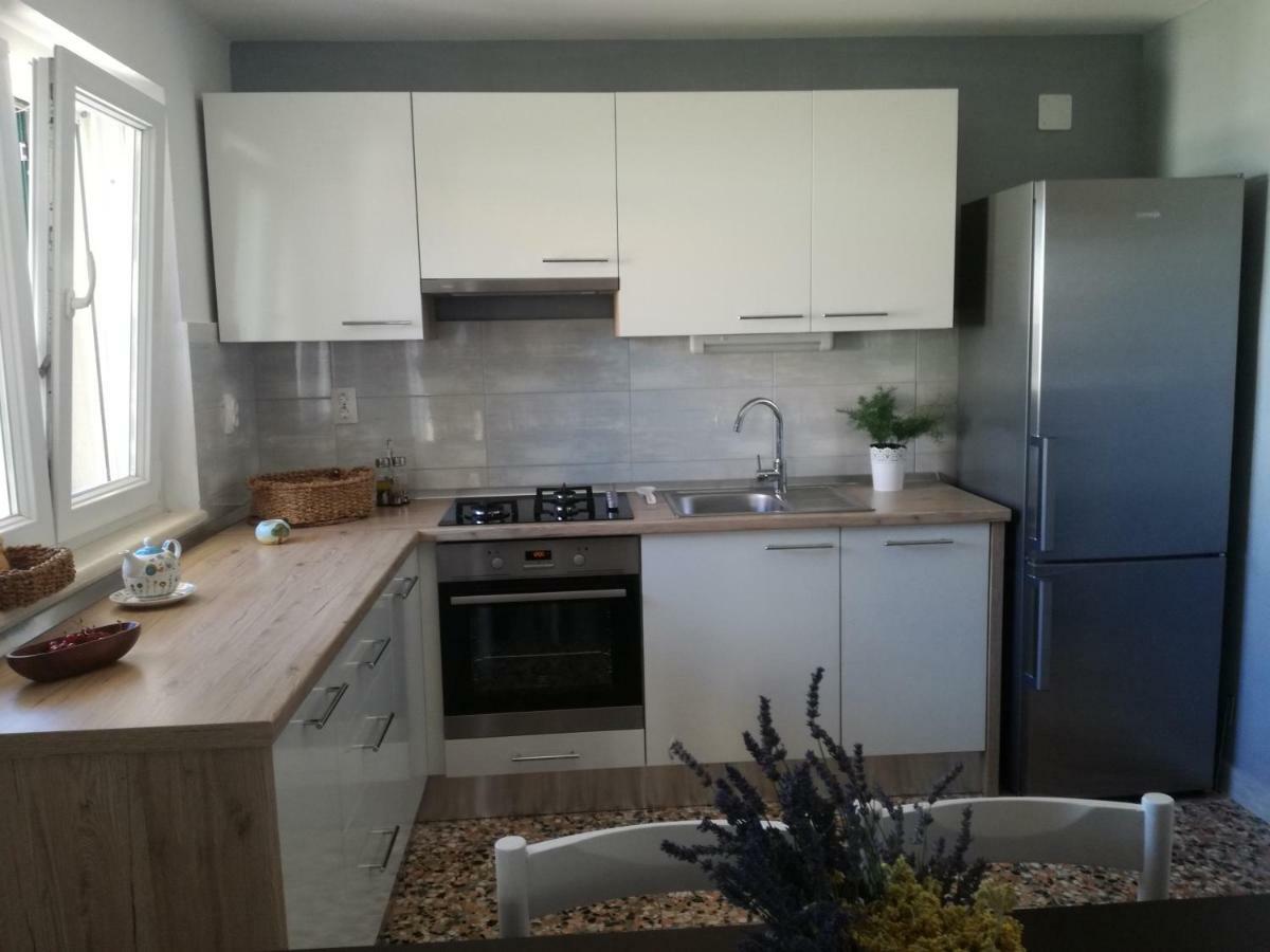 טרוגיר Apartment Ileana מראה חיצוני תמונה