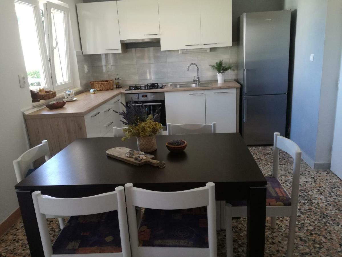 טרוגיר Apartment Ileana מראה חיצוני תמונה